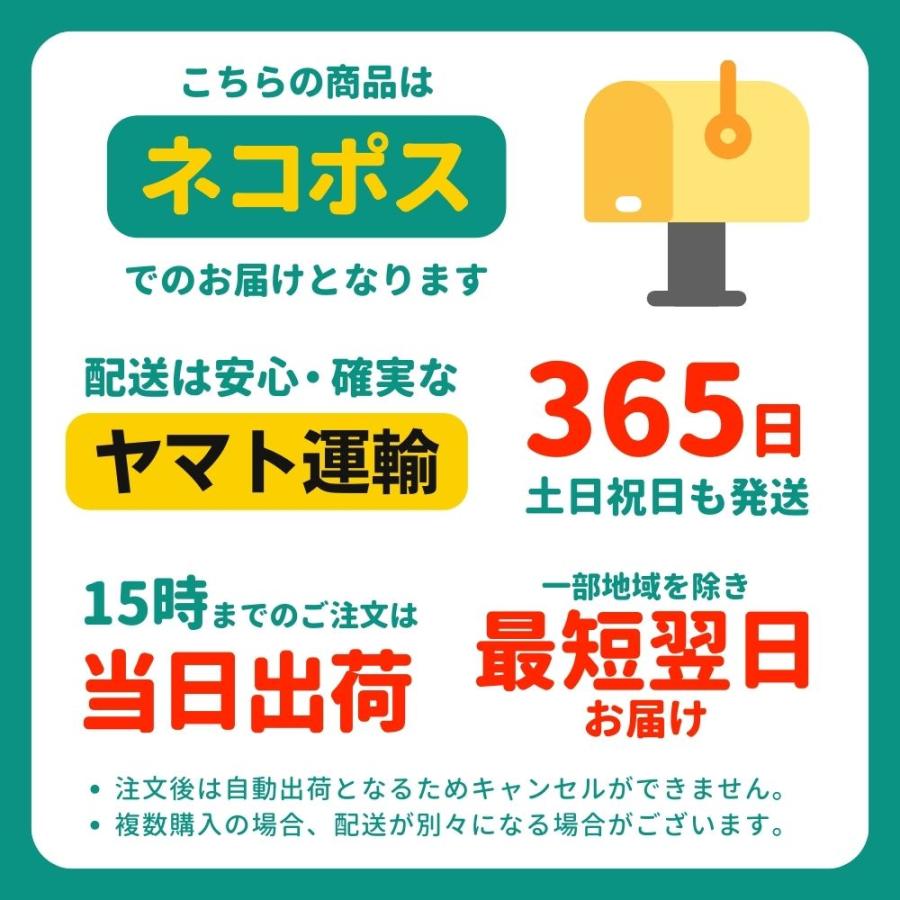 携帯スリッパ レディース 旅行 軽い おしゃれ 折りたたみ 洗える 学校 ブラック 収納 シンプル 入学式 持ち運び ポーチ コンパクト 滑りにくい かかと｜arcadirect｜16