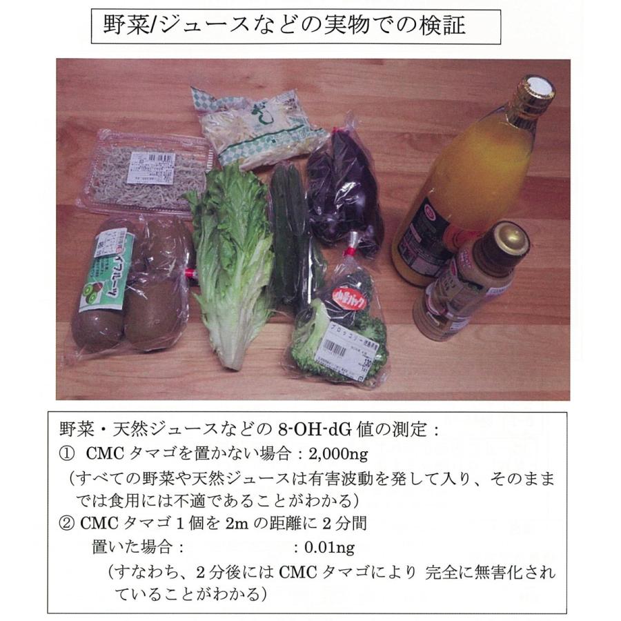 CMC たまご 冷蔵庫用食品活性化材 カーボンマイクロコイル