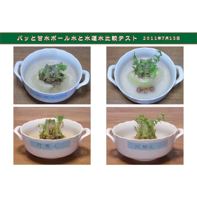 浄水 セラミック 水がおいしくなる IBE パッと甘水ボール パイ 浄水 セラミック 水がおいしくなる IBE パッと甘水ボール パイ