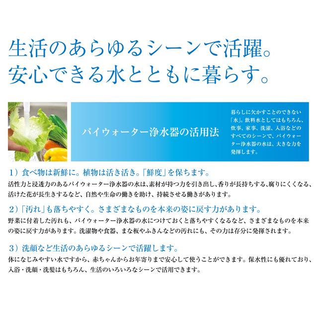 家庭用浄水器 AQUA-π251 アクアパイ πウォーター パイウォーター