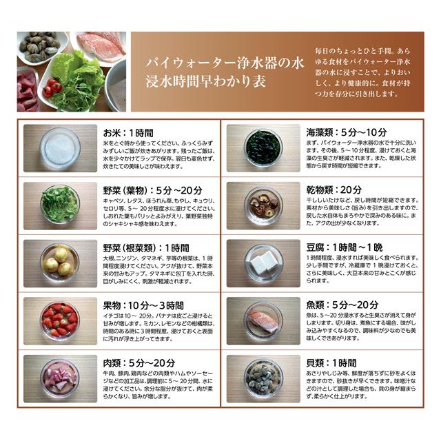 家庭用浄水器 AQUA-π251 アクアパイ πウォーター パイウォーター