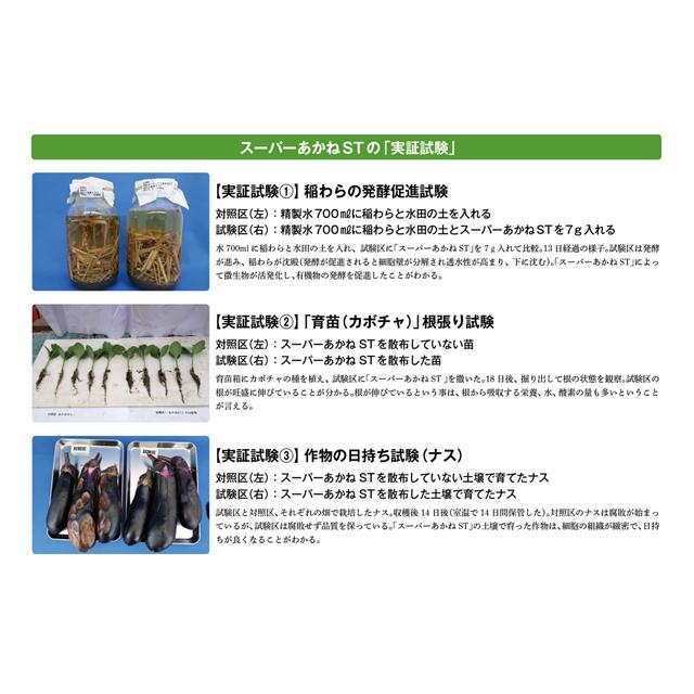 IBE 土壌改質材 ST スーパーあかね 100%天然素材 パイウォーター