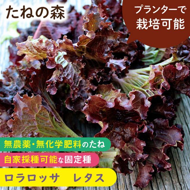 たねの森 ロラロッサ レタス 無農薬 無化学肥料 固定種 自家採種 プランター栽培 Mori 0139 Manai 通販 Yahoo ショッピング