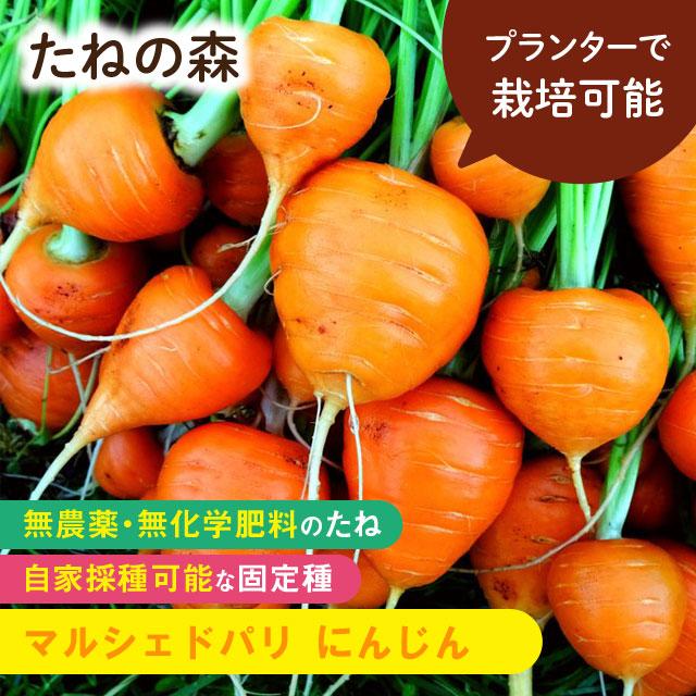 たねの森 マルシェドパリ にんじん 無農薬 無化学肥料 固定種 自家採種 プランター栽培 Mori 0176 Manai 通販 Yahoo ショッピング