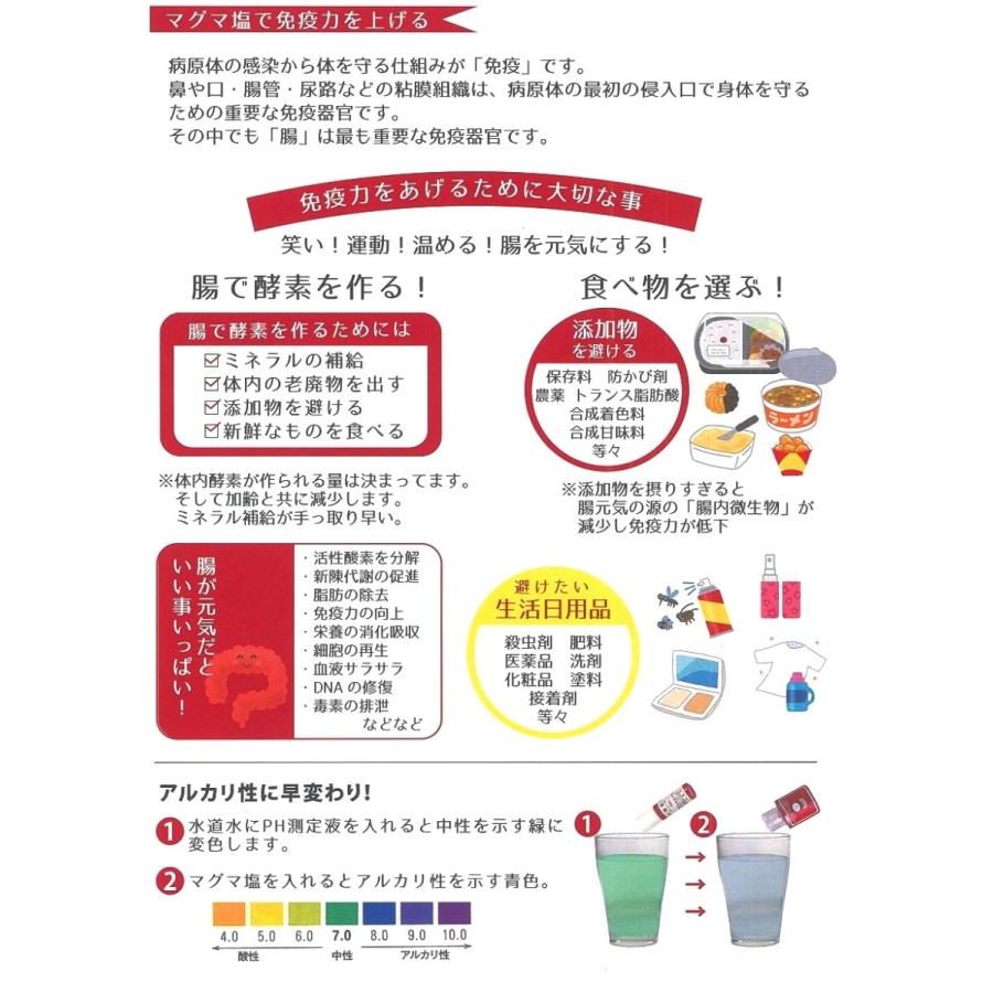 携帯用マグマ塩 30g お試し 塩素除去 抗酸化 水素 塩 美肌塩 ファスティング アルカリ Searun M01 Manai 通販 Yahoo ショッピング