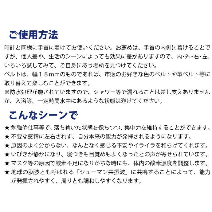 ゼロ磁場パワー テラファイト ゼロリストシルバー ゼロ磁場発生装置