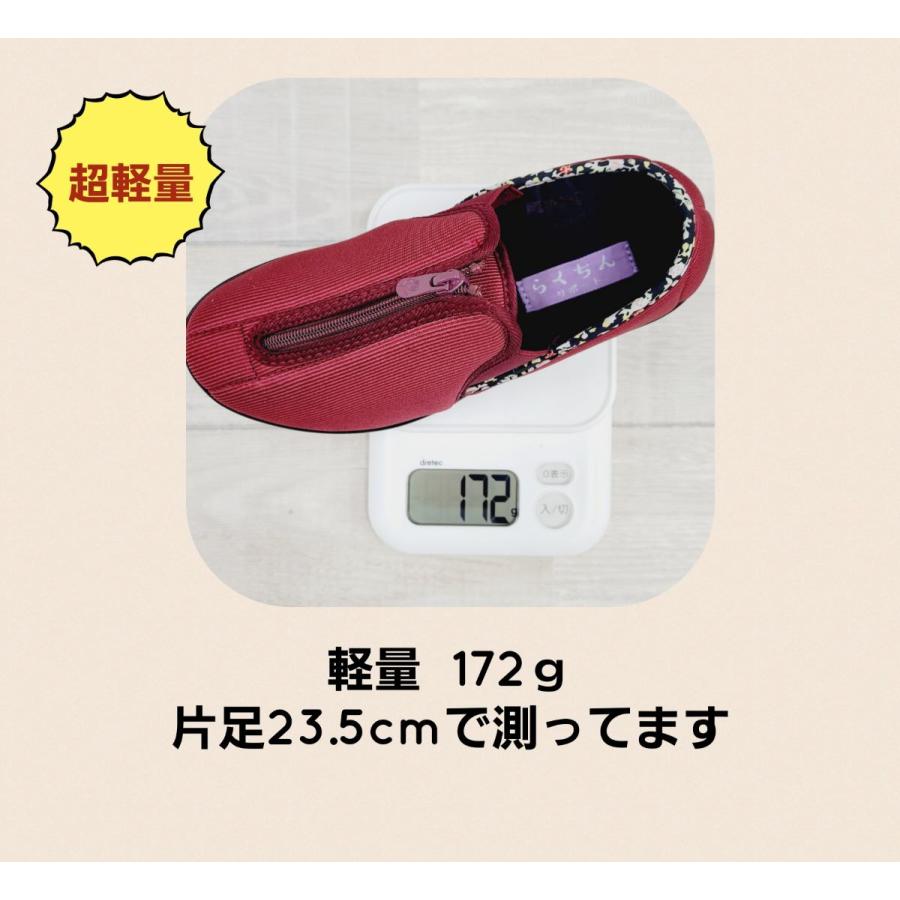 らくちんサポート 赤 介護用シューズ ウォーキング シューズ 介護靴 5E