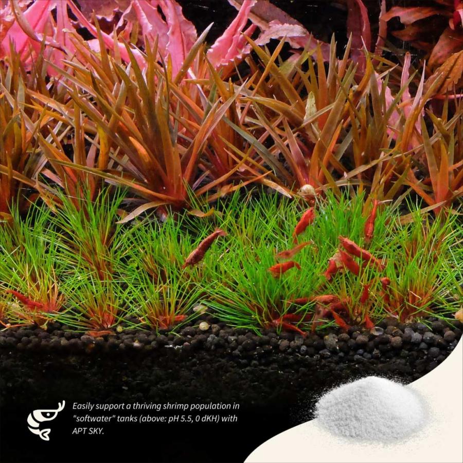 THE 2HR AQUARIST シュリンプ水草水槽に GH上昇剤 APT SKY 800g