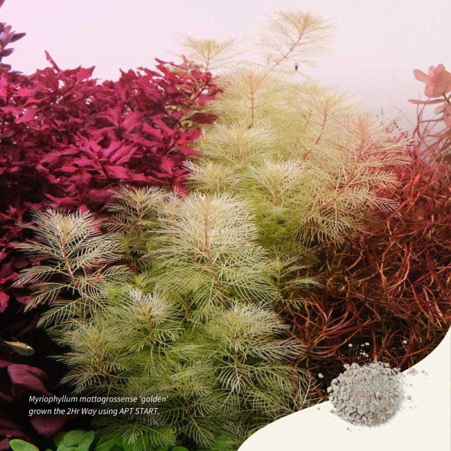 THE 2HR AQUARIST アクアリウム 水槽 水草 水槽立ち上げ用 水槽肥料