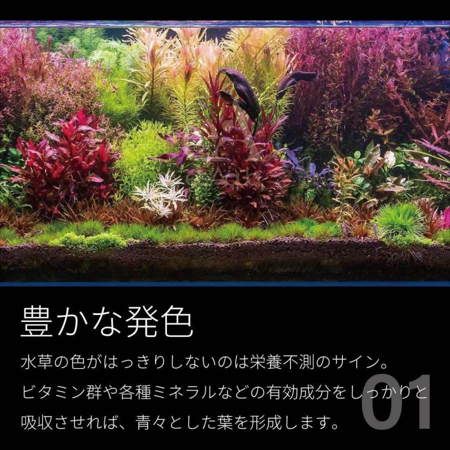 Esaqua 水槽 液体栄養剤 500ml 水草 肥料 栄養剤 液体肥料 コンプリート Complete アクアリウム 水槽 液肥 Es 007 Arch Global 通販 Yahoo ショッピング