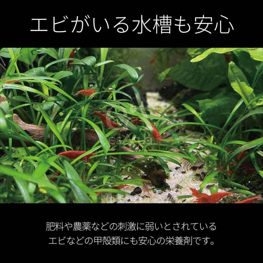 Esaqua 水槽 液体栄養剤 500ml 水草 肥料 栄養剤 液体肥料 コンプリート Complete アクアリウム 水槽 液肥 Es 007 Arch Global 通販 Yahoo ショッピング