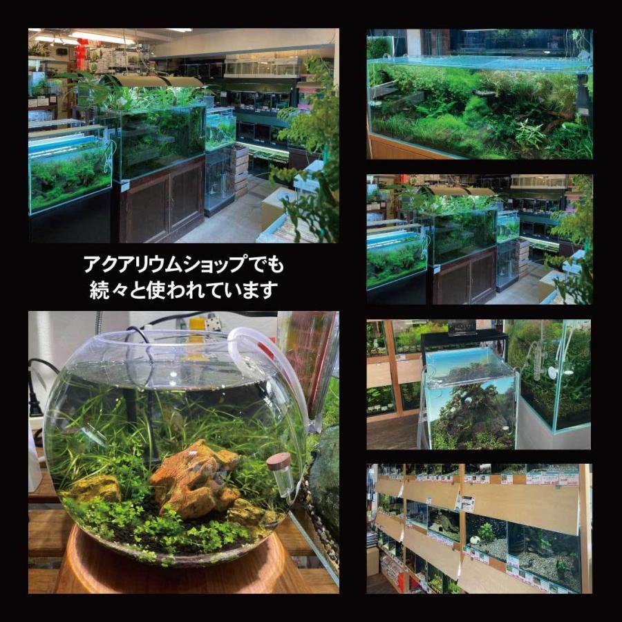 esAqua 水槽 バック スクリーン (300×500) LEDライト PSE認証