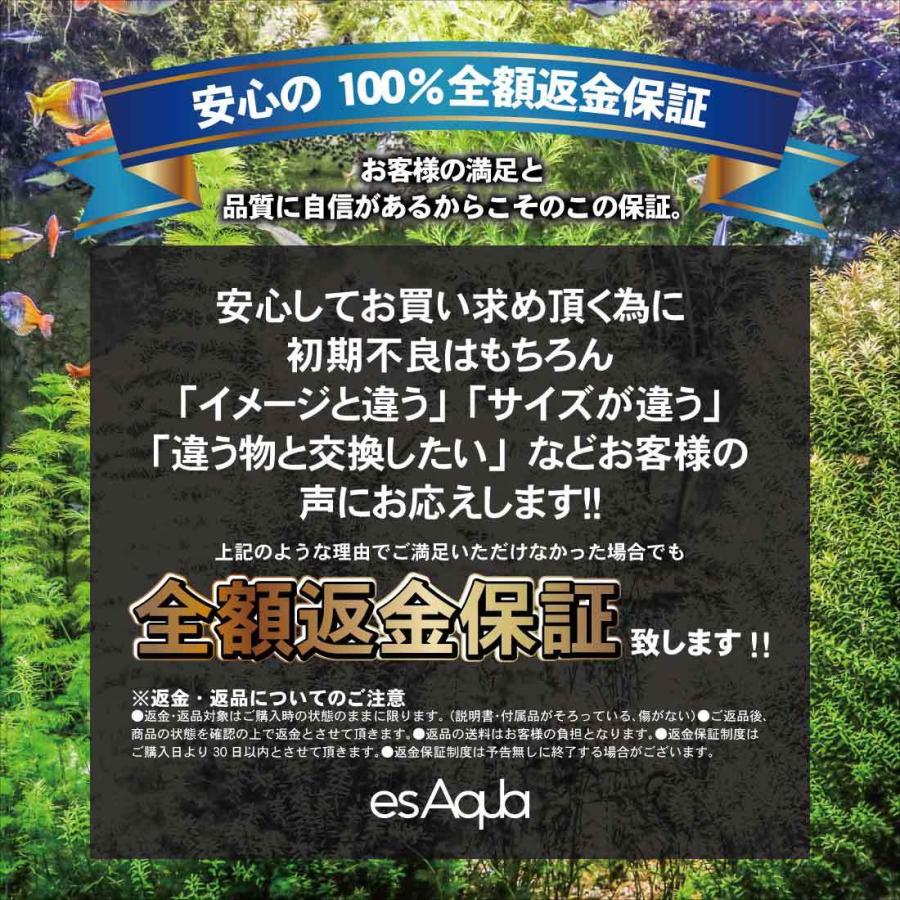 esAqua 水槽 バック スクリーン (300×500)  LEDライト PSE認証 メーカー正規保証 アクアリウム ライトスクリーン【 調光器付 】 水槽ライト パルダリウムの画像