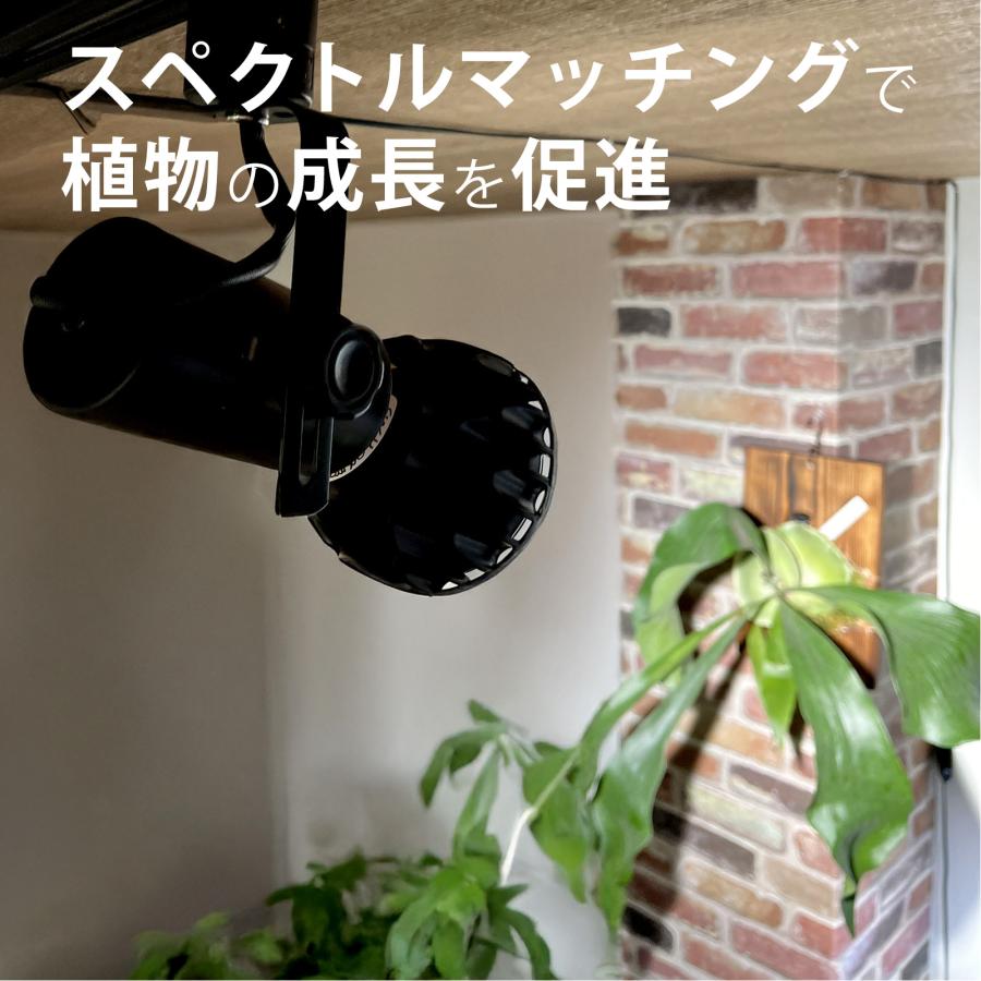 アガベ　植物用ライト　LEDライト アガベにおすすめな植物育成LEDライト4選｜1ヶ月の電気代も解説