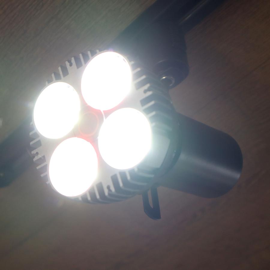 LEDSTAR P33 LEDライト 植物育成ライト 高PPFD 植物用 アガベ 冷却