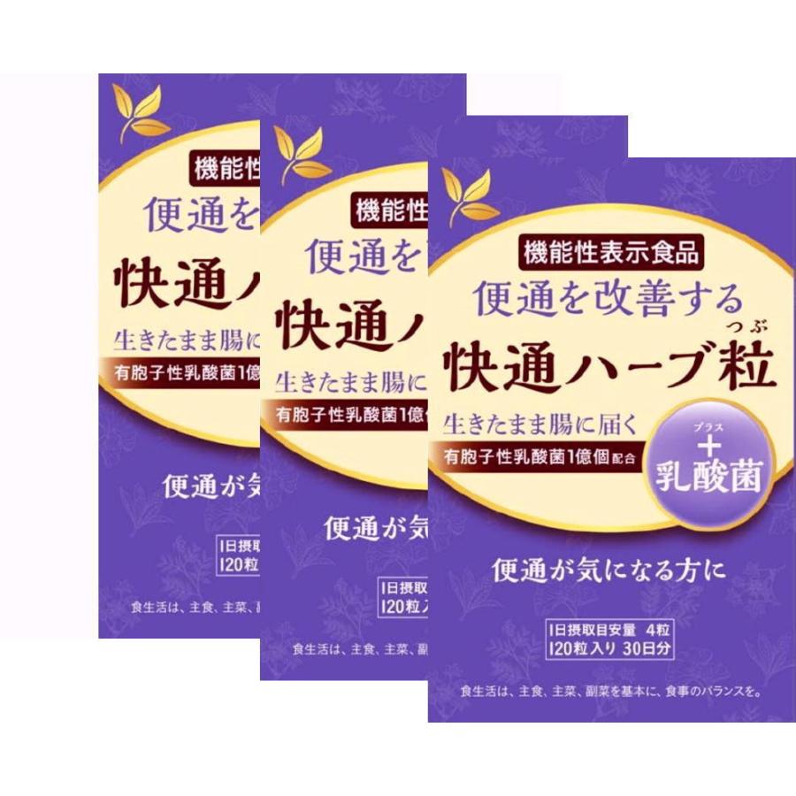 おまけ４０粒付き！お得３個セット！快通ハーブ粒+乳酸菌 120粒  ナチュラルウェーブ【送料無料】｜arch-shop