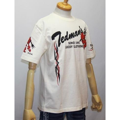 エフ商会・TEDMAN'S ・テッドマン バイカー  トライバル半袖Tシャツ(Blow Out The Bad)TDSS-422【ホワイト】(862)新品｜arches｜04