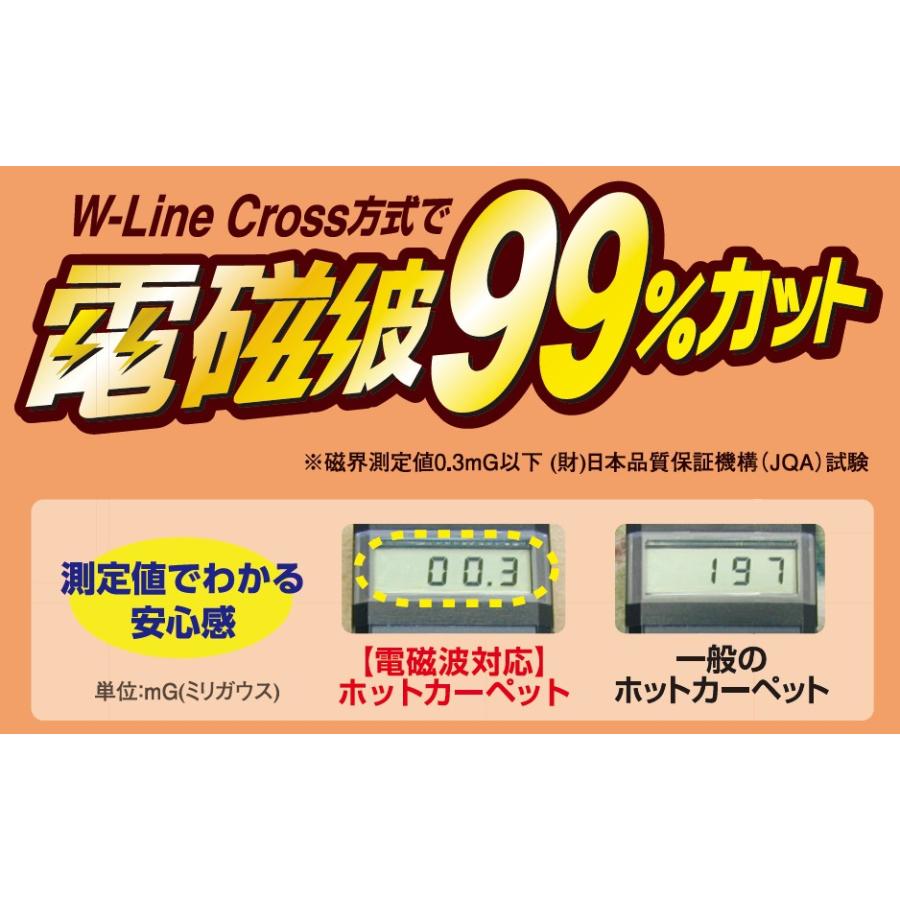 ゼンケン 電気ホットカーペット 3畳 本体のみ [ZCB-30P] ホット
