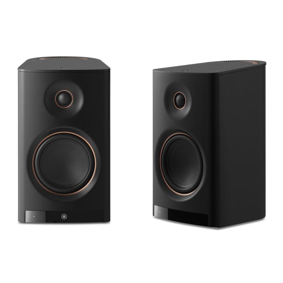 NX-70A(B) [ブラック] 買取価格比較