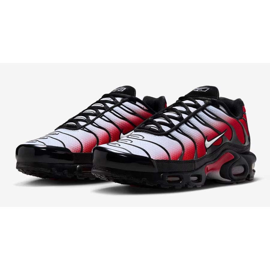 26cmワイド ナイキ アカマイ ブラック ホワイト ピュアプラチナム NIKE（ナイキ） エア マックス プラス [AIR MAX PLUS] ピュア