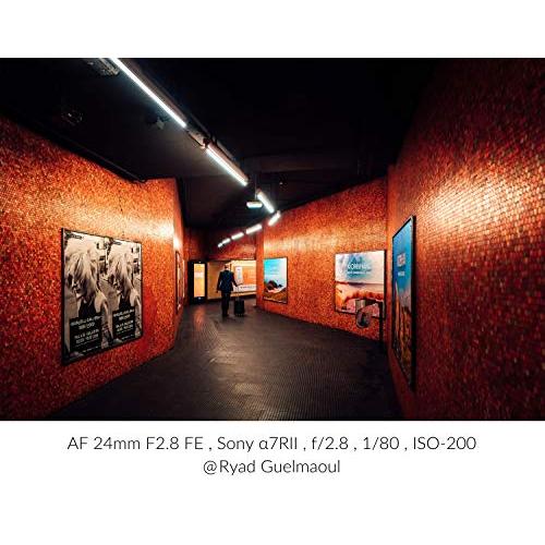 【タイムセール】 SAMYANG 単焦点広角レンズ AF 24mm F2.8 FE ソニーαE用 フルサイズ対応 【MYK7336656486】(25622円)