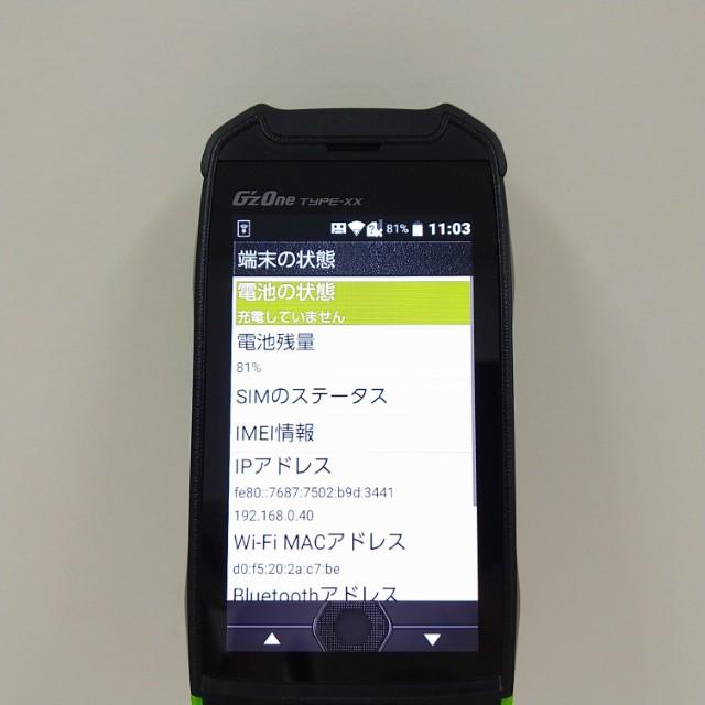 G'zOne TYPE-XX KYY31 au リキッドグリーン 送料無料 即決 本体 c22459