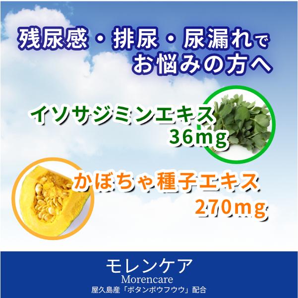 【正規販売店】モレンケア(90粒)[かぼちゃ種子エキス 屋久島産ボタンボウフラ 薬用かぼちゃ イソサミジン]【送料無料(北海道・沖縄・離島を除く)】 |  | 01
