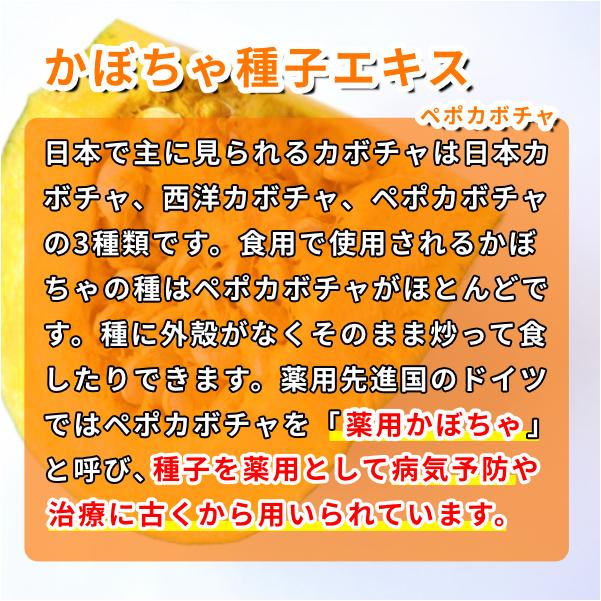 【正規販売店】モレンケア(90粒)[かぼちゃ種子エキス 屋久島産ボタンボウフラ 薬用かぼちゃ イソサミジン]【送料無料(北海道・沖縄・離島を除く)】 |  | 03