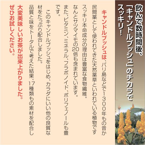 【正規販売店】アプリコット・デ・ルティ(16包)[便秘改善・解消 キャンドルブッシュ 腸活]【送料無料(北海道・沖縄・離島を除く)】 |  | 03