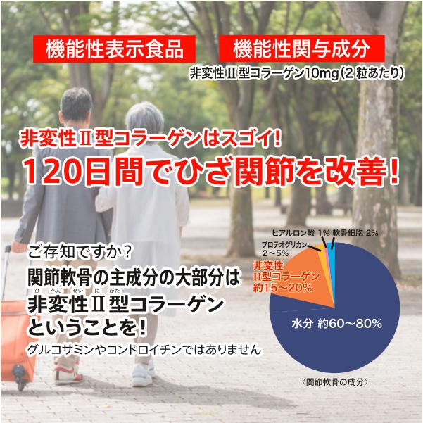 【正規販売店】歩っぷアシストII(60粒)×3箱セット[非変性II型コラーゲン 10mg含有 ひざ関節改善 ]【送料無料(北海道・沖縄・離島を除く)】の画像