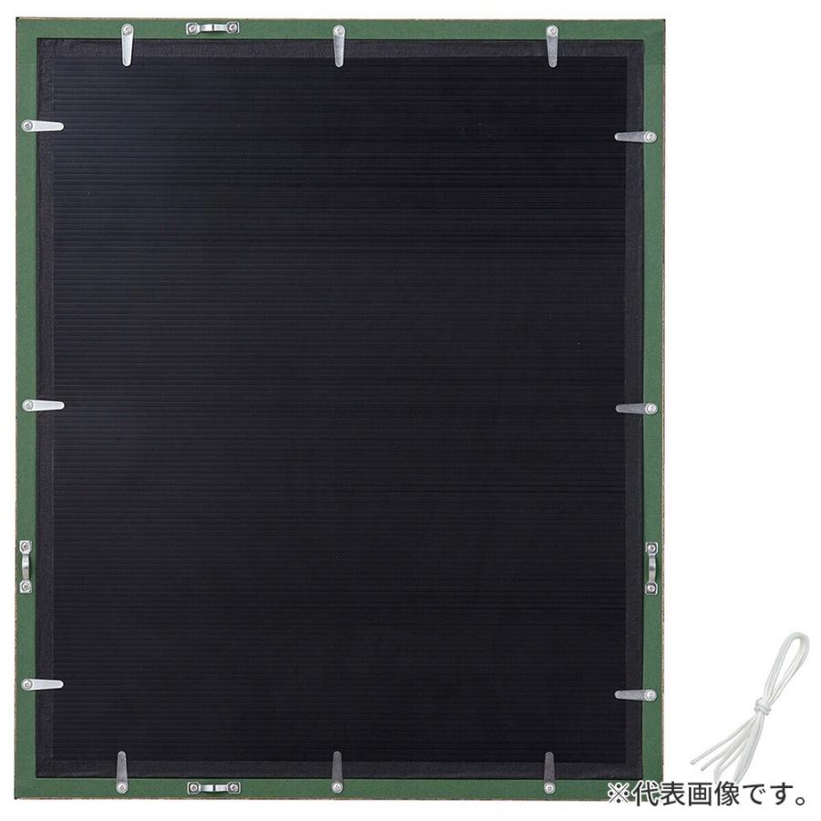 デッサン額縁 カリマンタン セピア 半切 額内寸(545×424mm) 表面(アクリル) ラーソン・ジュールの画像