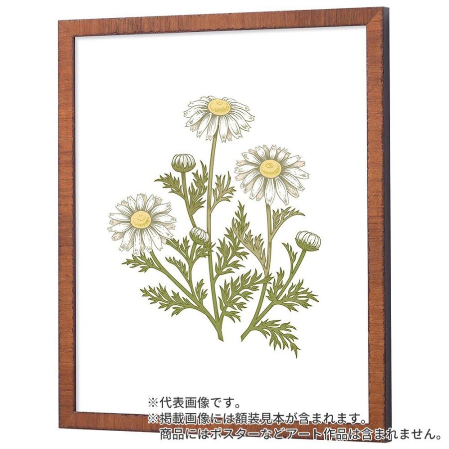 OAサイズ額縁 カリマンタン オーク A4 額内寸(299×212mm) 表面