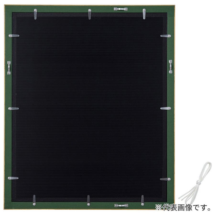デッサン額縁 マジョルカ Gグリーン 半切 額内寸(545×424mm) 表面(アクリル) ラーソン・ジュールの画像