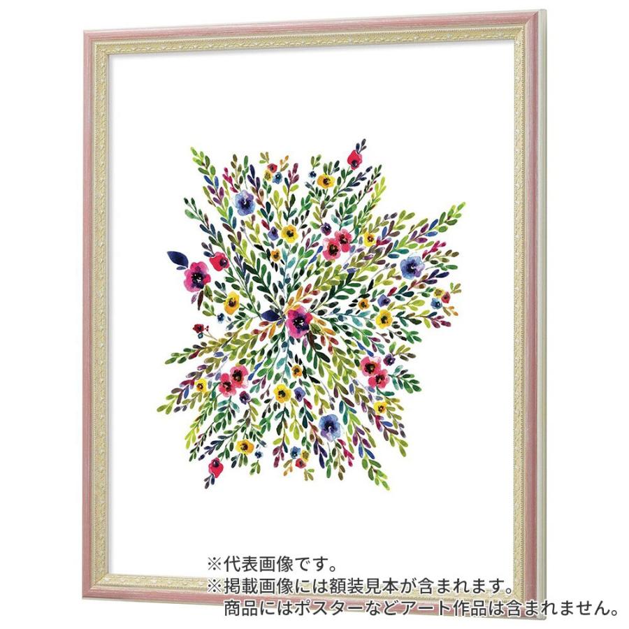 デッサン額縁 マジョルカ Ｓピンク 半切 額内寸(545×424mm) 表面(アクリル) ラーソン・ジュールの画像
