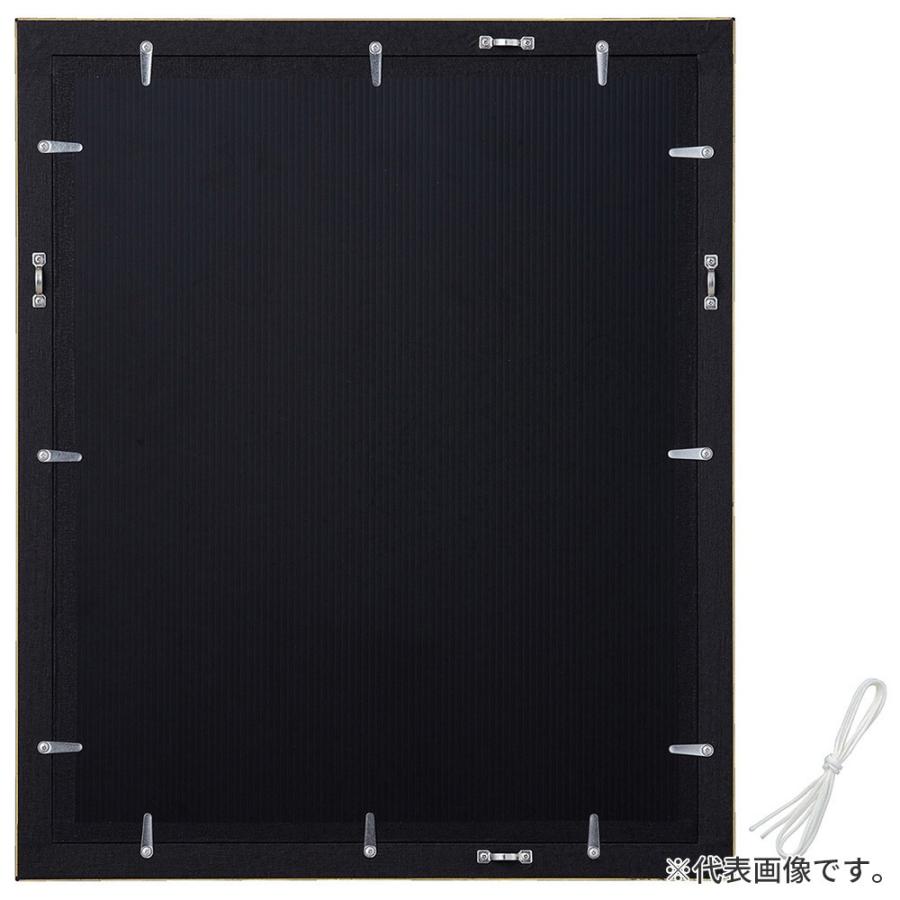 デッサン額縁 ソフィア 黒 小全紙 額内寸(660×510mm) 表面(アクリル) ラーソン・ジュール_2