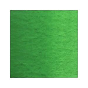 ホルベイン 透明水彩絵具 2号 (5ml) W067 パーマネント グリーン No.2|arcoasis2|02