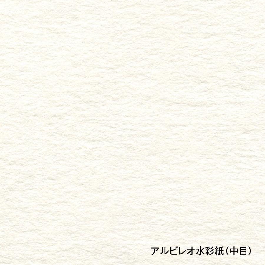 3冊セット アルビレオ水彩紙 ブロック 218g 中目 AB-F8 (270239) ホルベイン HOLBEIN ホルベイン HOLBEIN_2