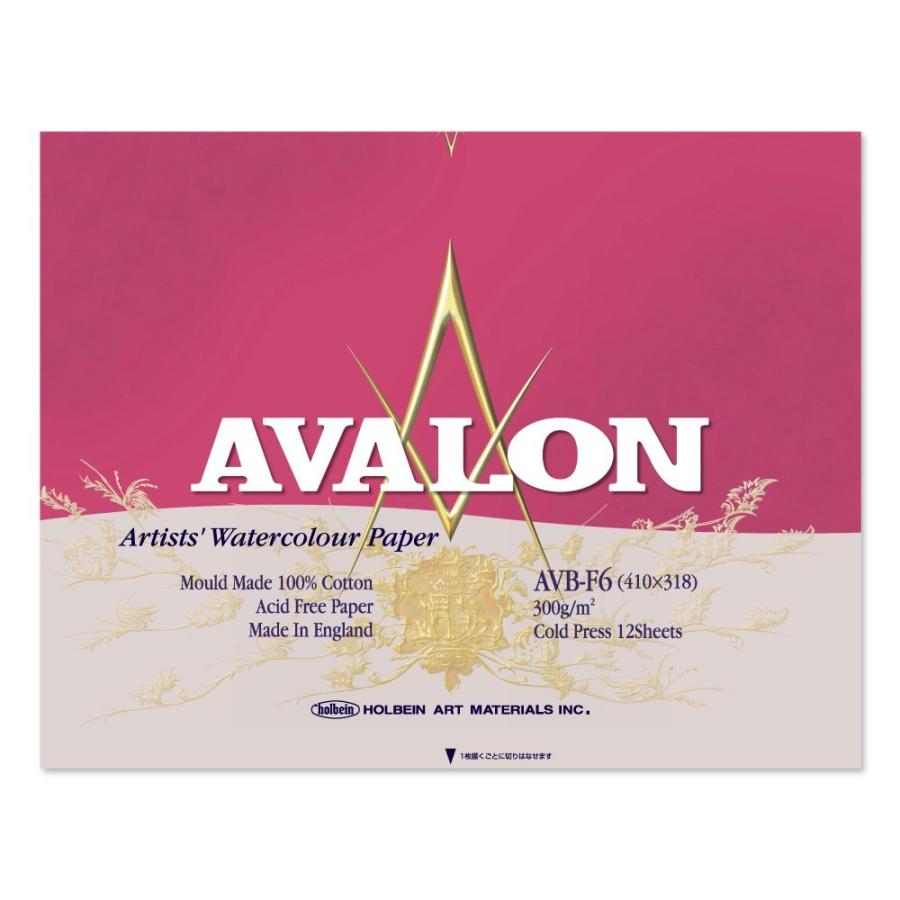 3冊セット アヴァロン水彩紙 ブロック 300g 中目 AVB-F6 (271004) ホルベイン HOLBEIN ホルベイン HOLBEIN