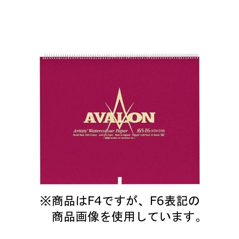 3冊セット アヴァロン水彩紙 スプリング 300g 中目 AVS-F4 (271123) ホルベイン HOLBEIN ホルベイン HOLBEIN