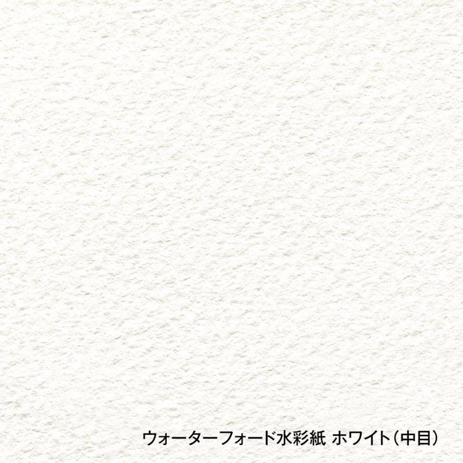 ウォーターフォード水彩紙 ホワイト 中判（560×760mm）190g 中目 10枚セット (261604)の画像