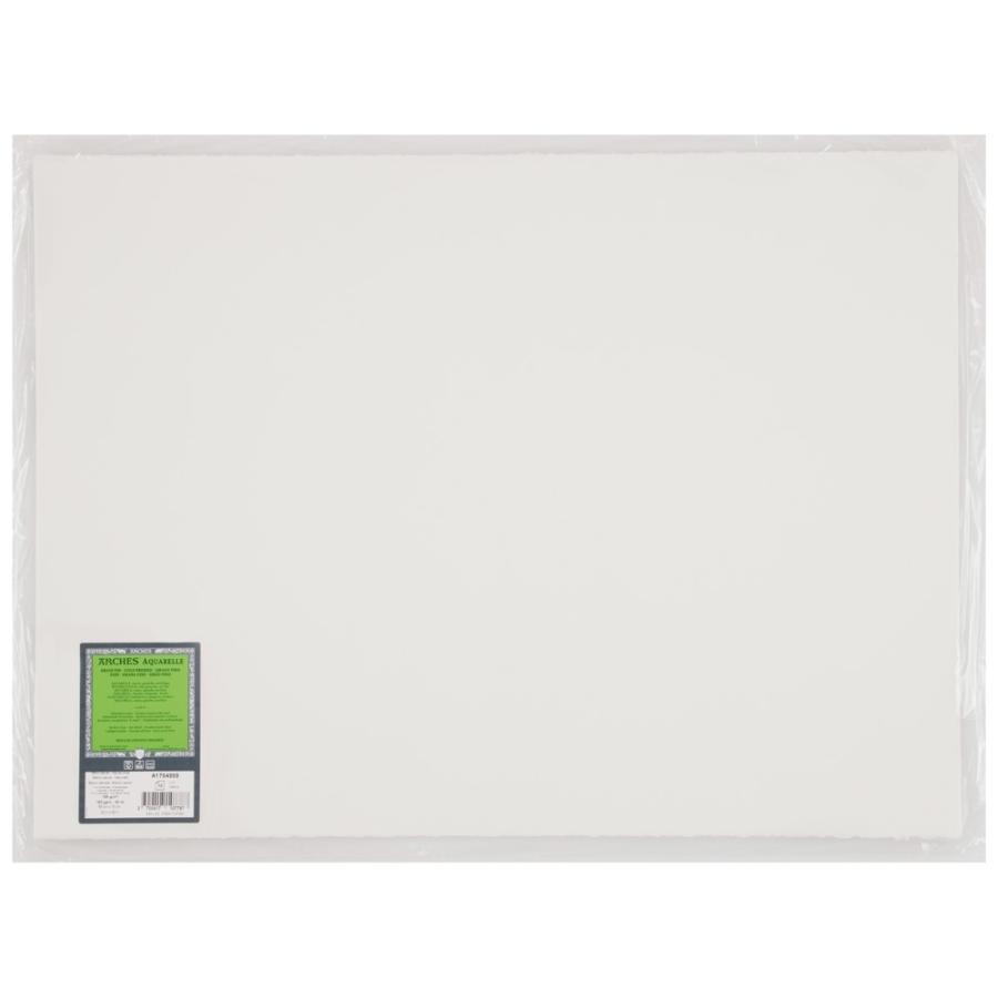 10枚入 アルシュ水彩紙 シート 細目 185g 560×760mm (1794999