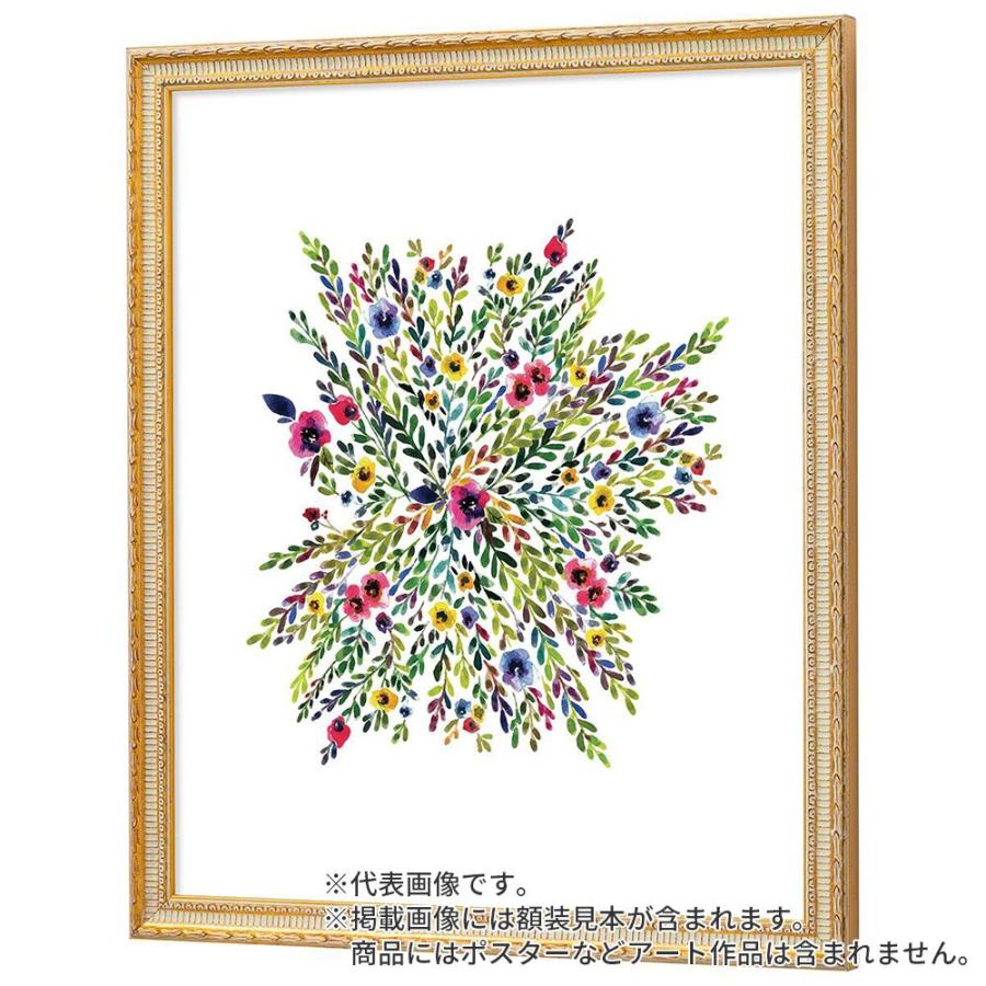 デッサン額縁 ベルリン 金 全紙 額内寸(727×545mm) 表面(アクリル) ラーソン・ジュールの画像