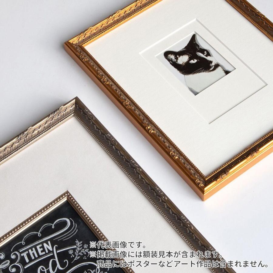 デッサン額縁 プティカレ 金 大衣 額内寸(509×394mm) 表面(アクリル