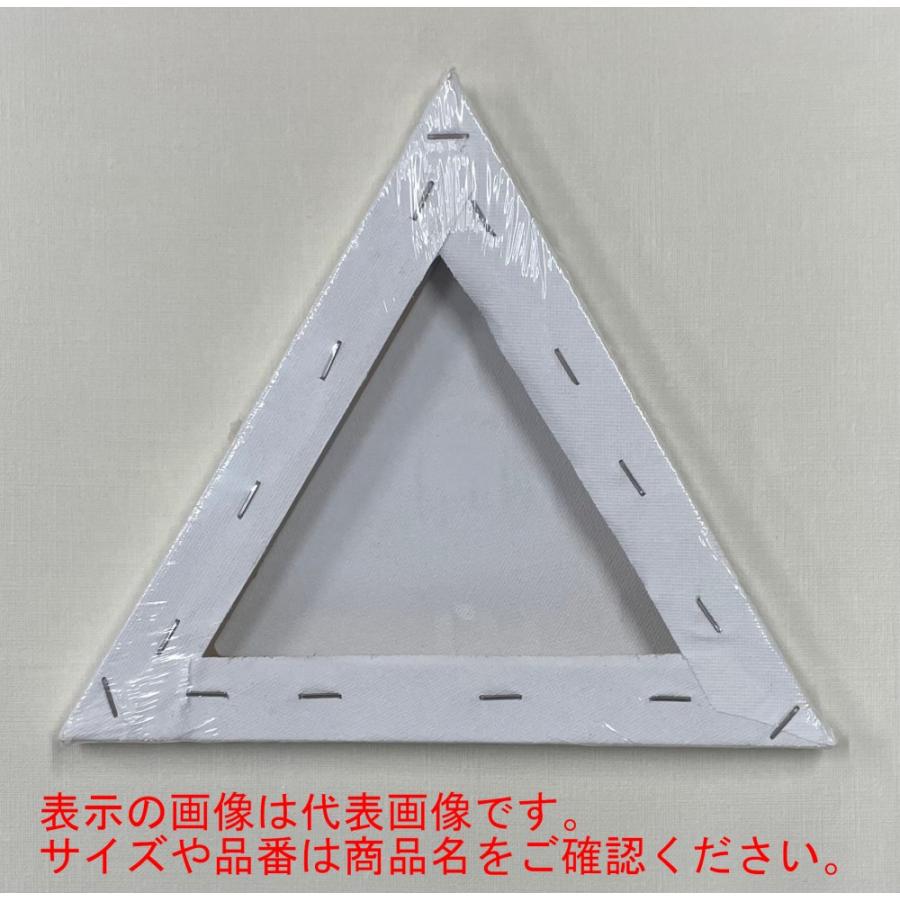 三角型 張りキャンバス 30cm (028438) ヴィックアート : アーク