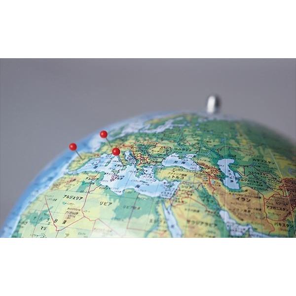 渡辺教具製作所 地球儀 ピンマーク地球儀 (地勢） No.2401 : アーク
