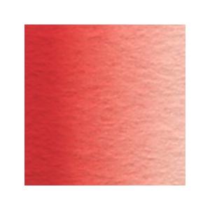 ホルベイン 透明水彩絵具 2号 (5ml) W017 カドミウム レッド