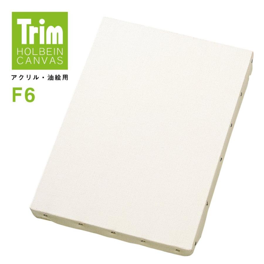 30枚セット ホルベイン トリム張キャンバス F6 (151904)