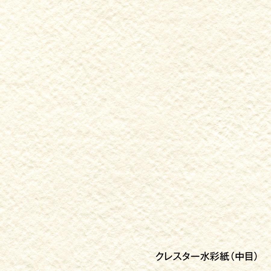 クレスター水彩紙 ブロック 210g 中目 CB-F10 (270255) ホルベイン HOLBEIN ホルベイン HOLBEIN 【Specially】