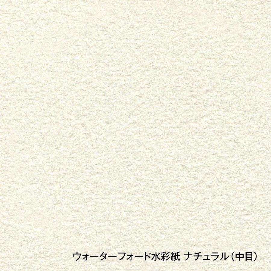 ウォーターフォード水彩紙 ナチュラル ブロック 300g 中目 EB-F8 (270915) 【半紙】