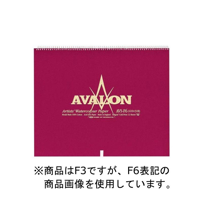 3冊セット アヴァロン水彩紙 スプリング 300g 中目 AVS-F3 (271122) ホルベイン HOLBEIN ホルベイン HOLBEIN